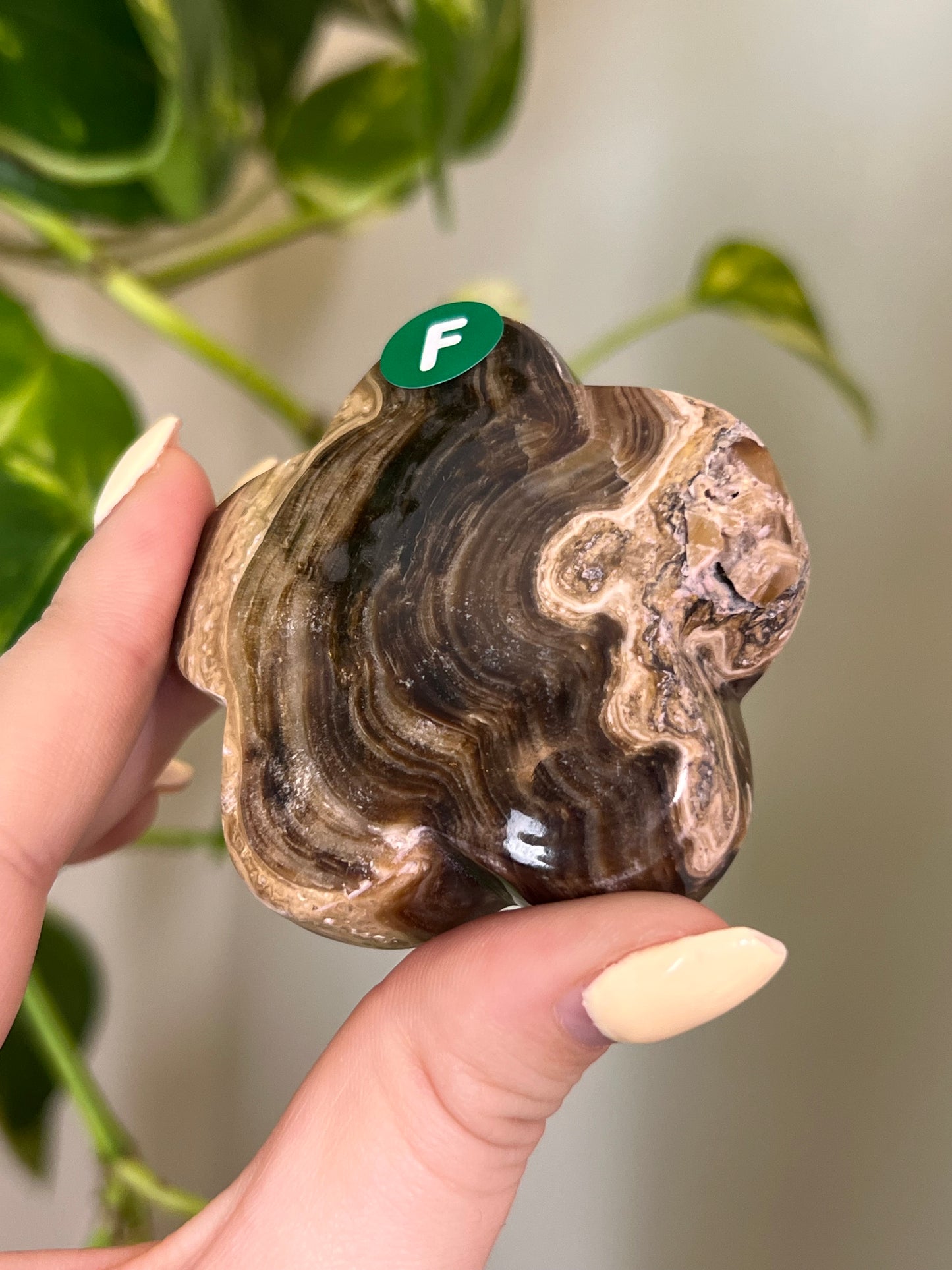Chocolate Swirl Calcite Groovy Flower - F