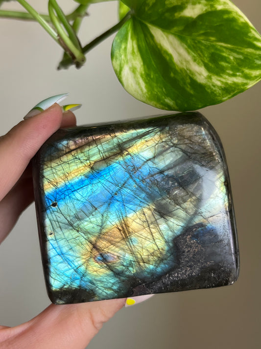 Flashy Labradorite Freeform - Q