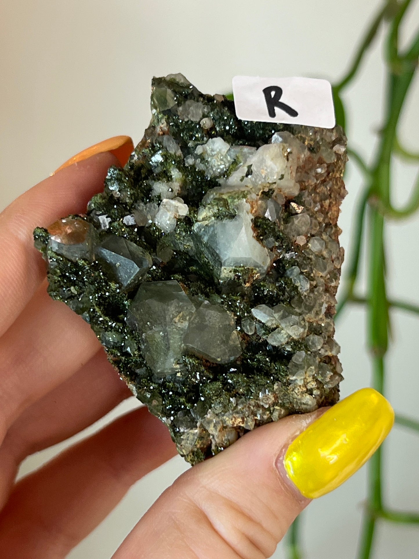 Forest Epidote Quartz Cluster - R