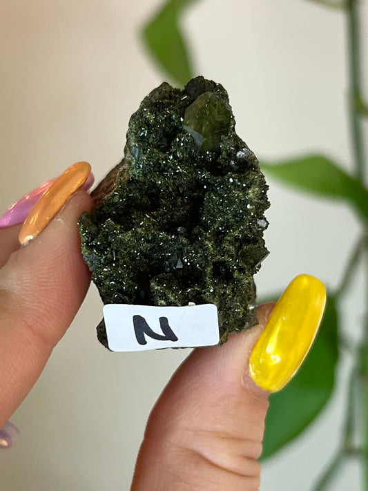 Forest Epidote Quartz Cluster - N