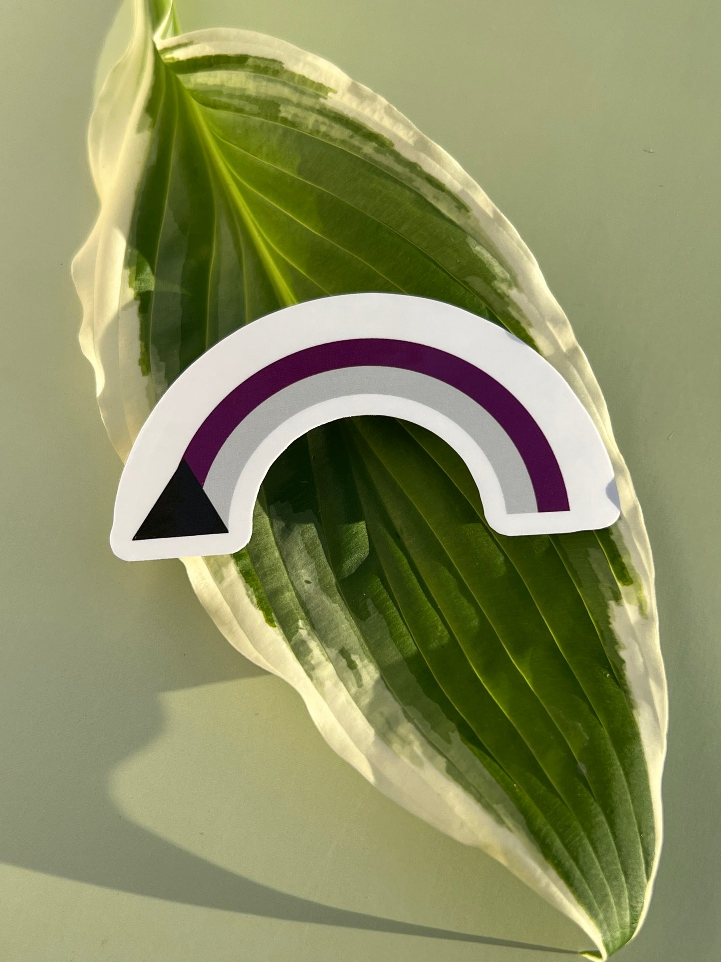 Demisexual Rainbow Sticker