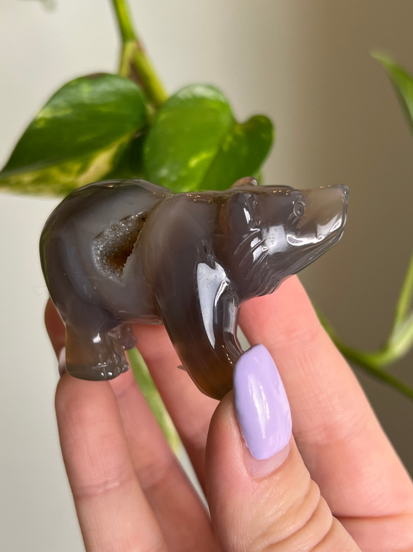 Druzy Agate Bear - A