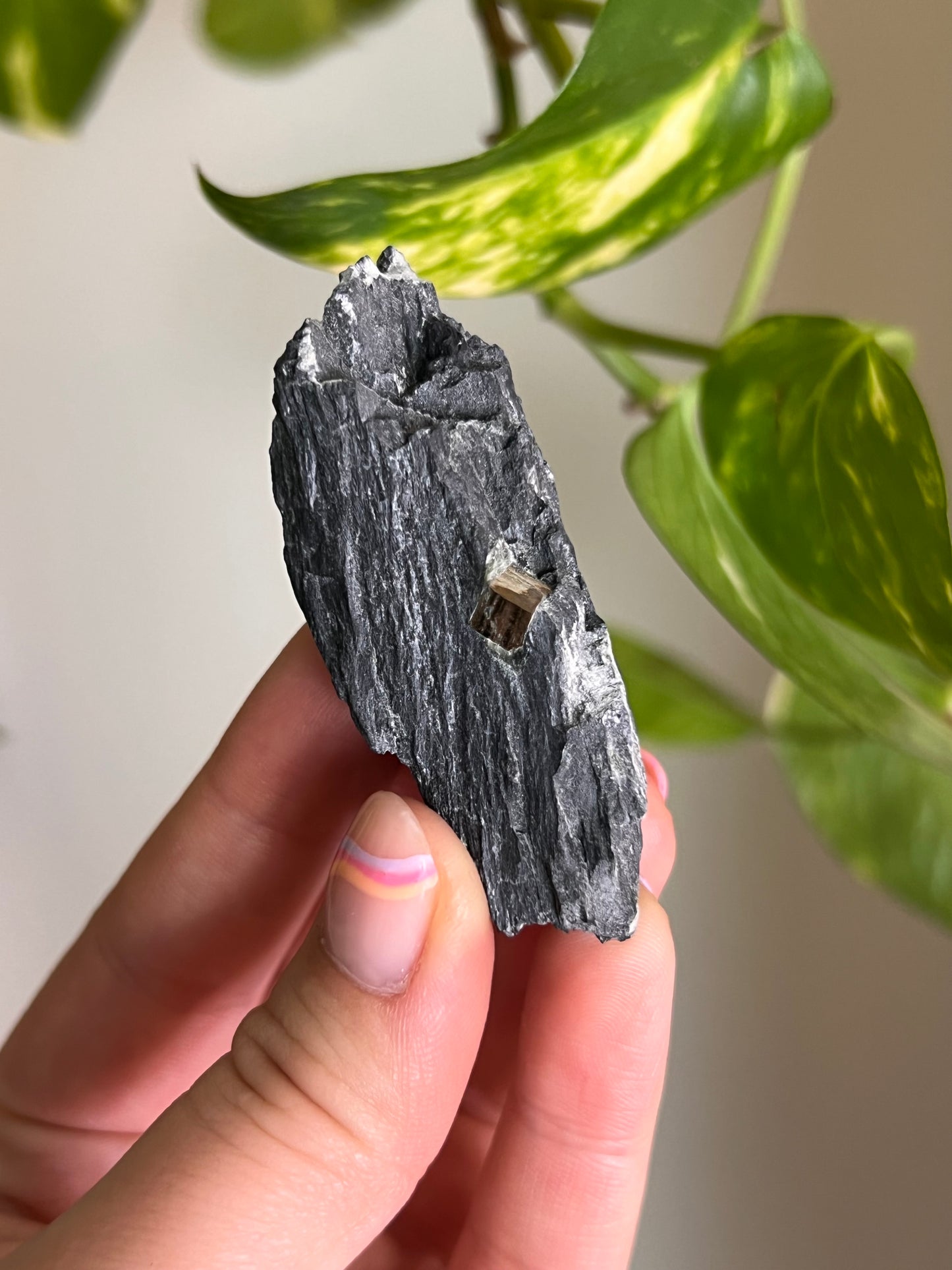 Pyrite on Matrix - Ontario - I