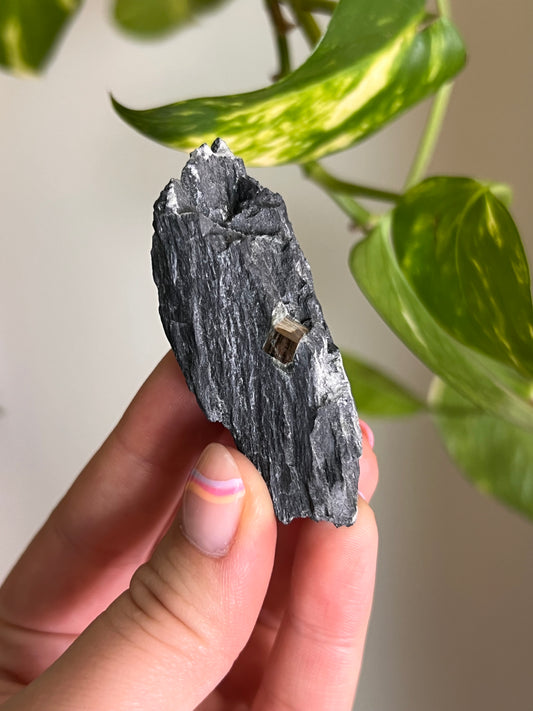 Pyrite on Matrix - Ontario - I