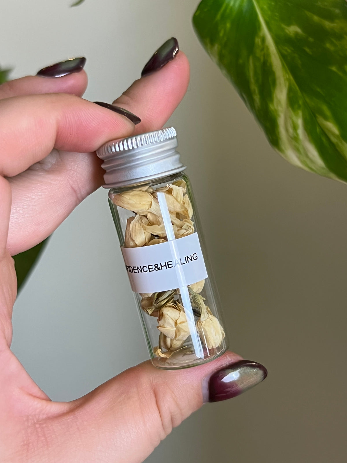 Jasmine Herb Vial - Confidence + Healing
