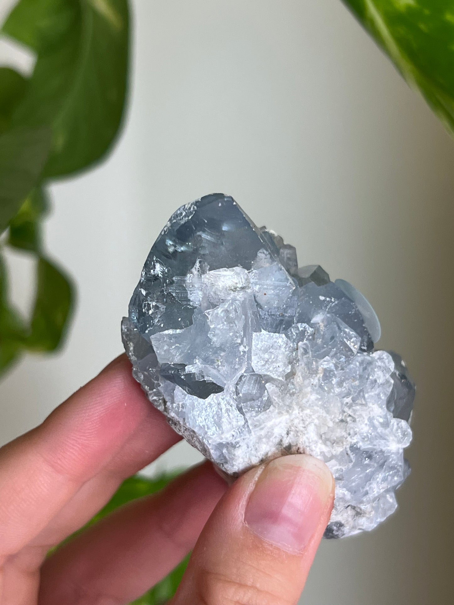 Celestite Cluster Small - K