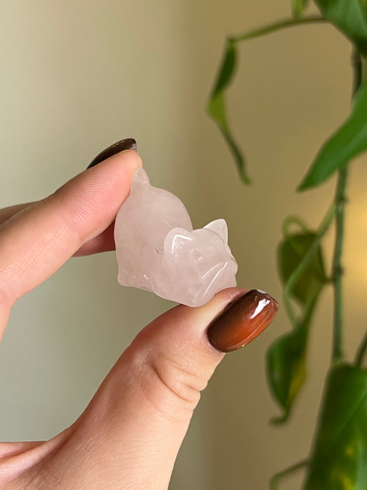 Rose Quartz Playful Cat