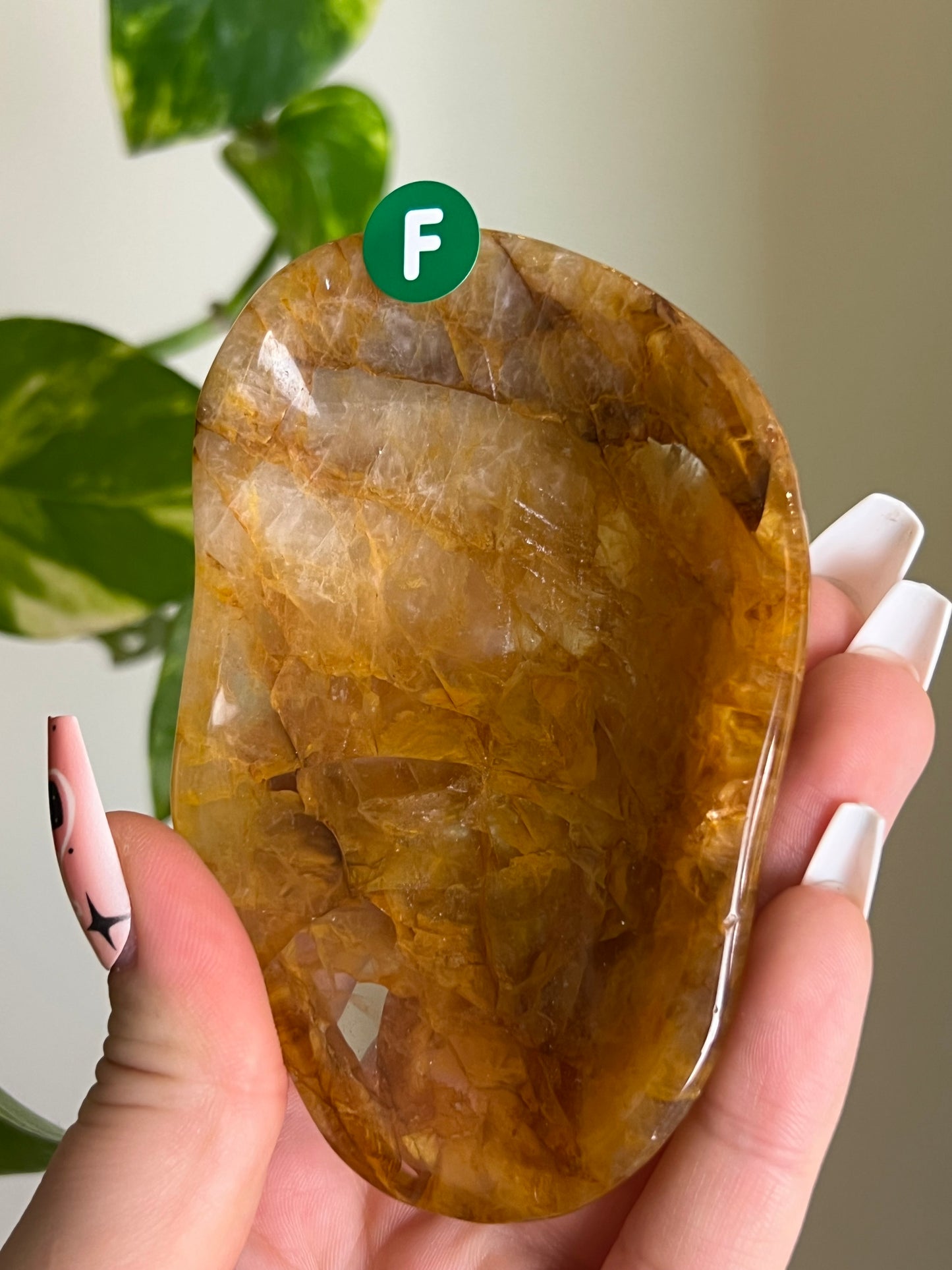 Golden Healer Quartz Bowl - F