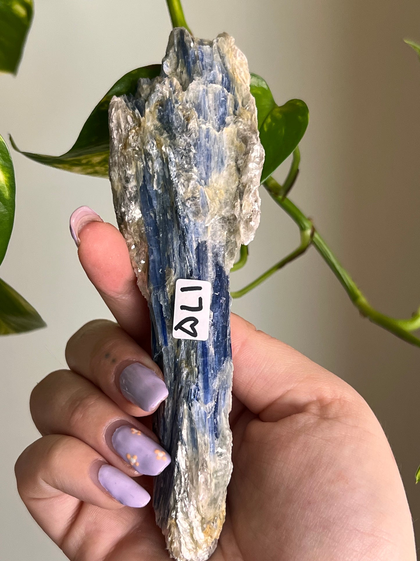 Blue Kyanite Raw Blade