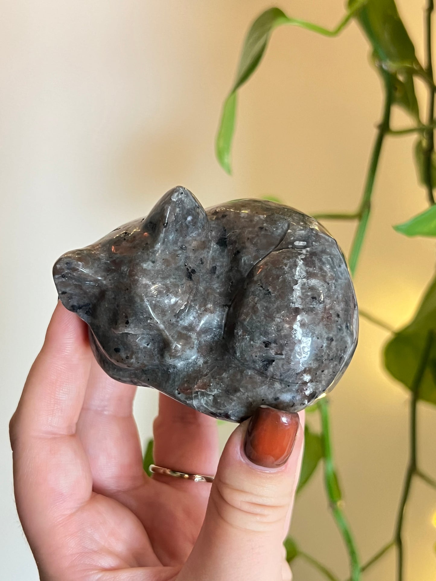 Yooperlite Large Sleeping Cat