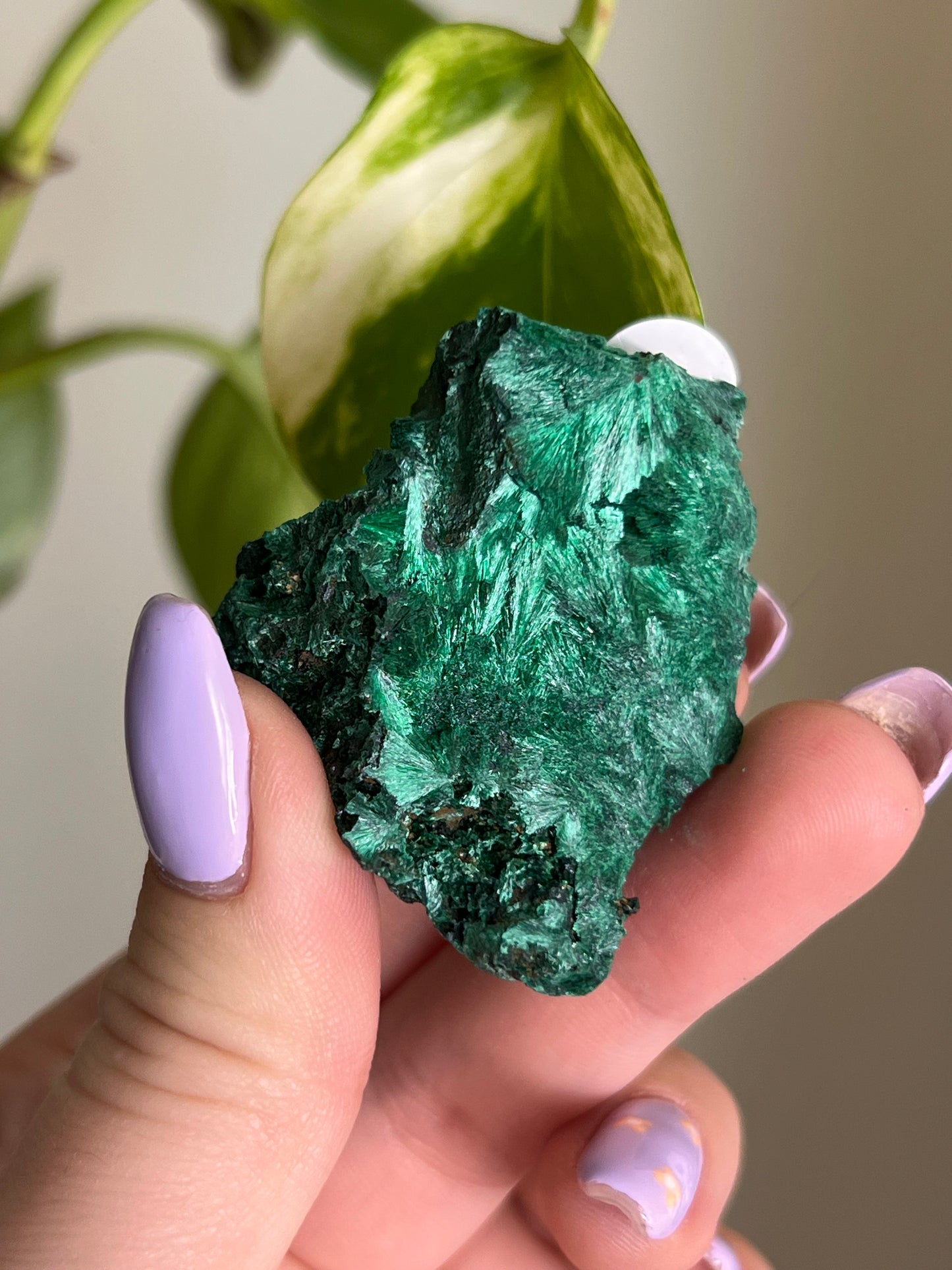 Fibrous Malachite - G