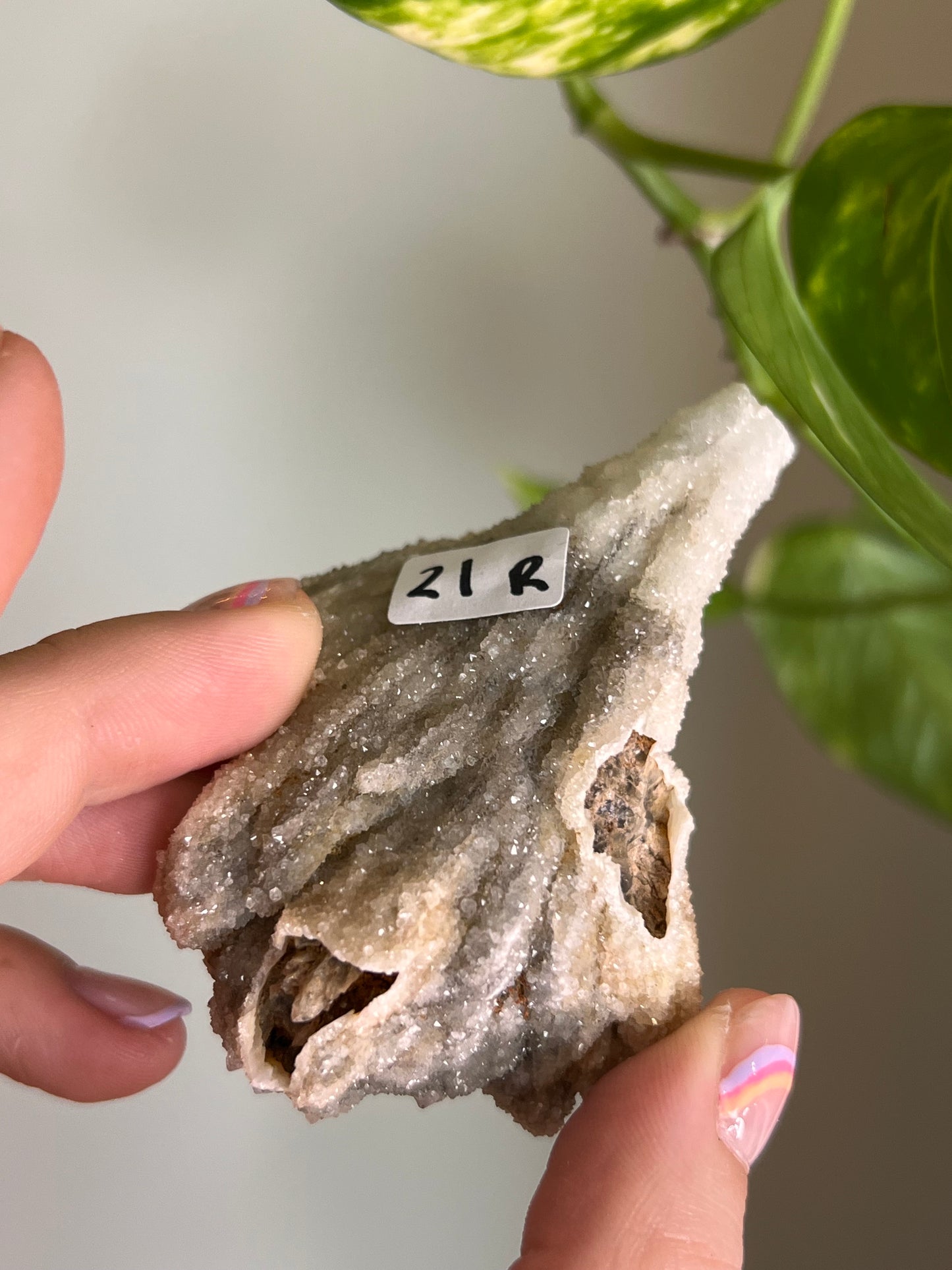Druzy Calcite Pseudomorph - R
