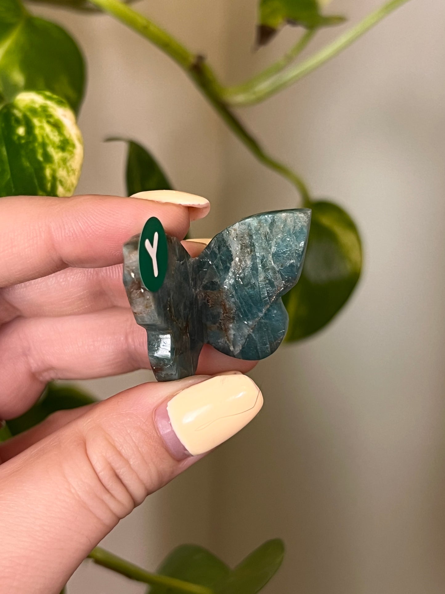 Green Apatite Small 3D Butterfly - Y