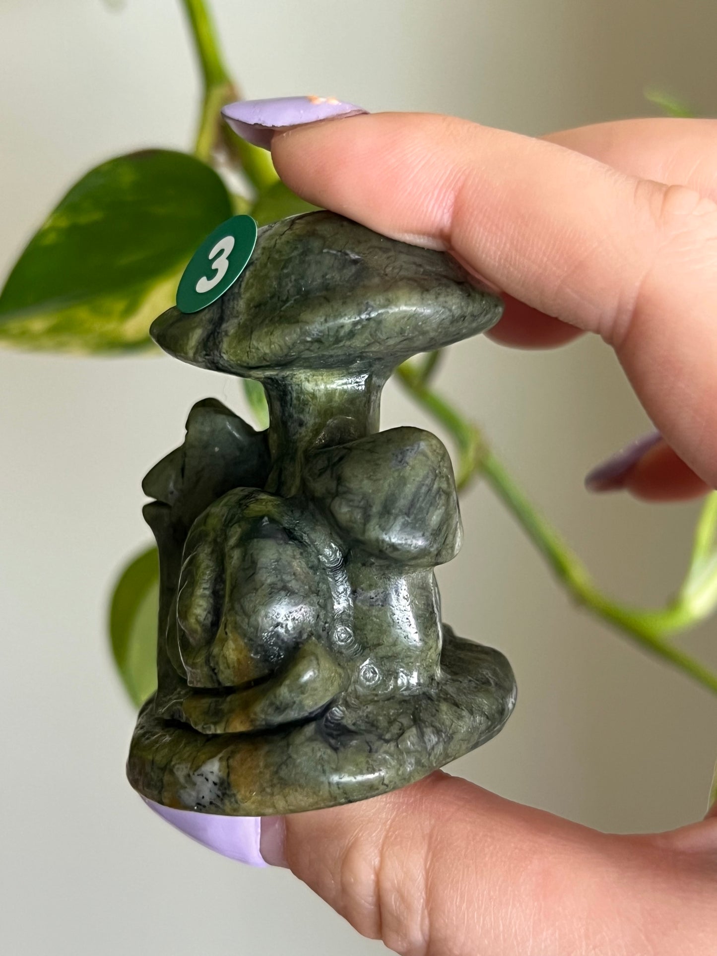 Jade Snail Under Mushroom - 3