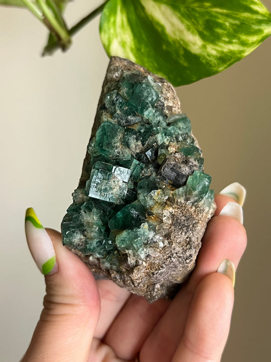Green Cubic Fluorite Cluster - 4