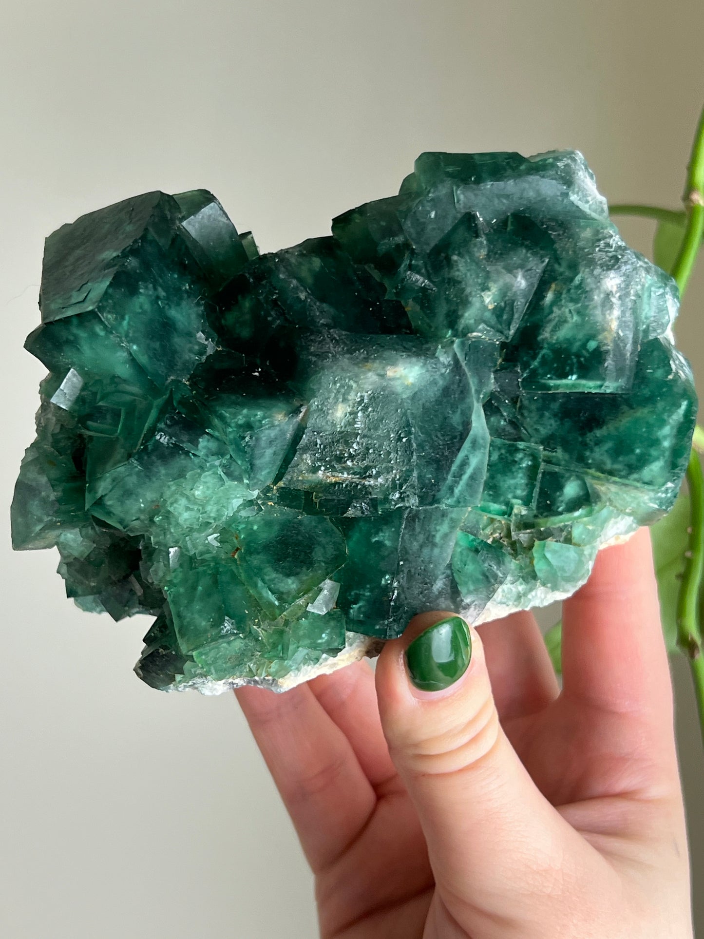 Green Cubic Fluorite Statement