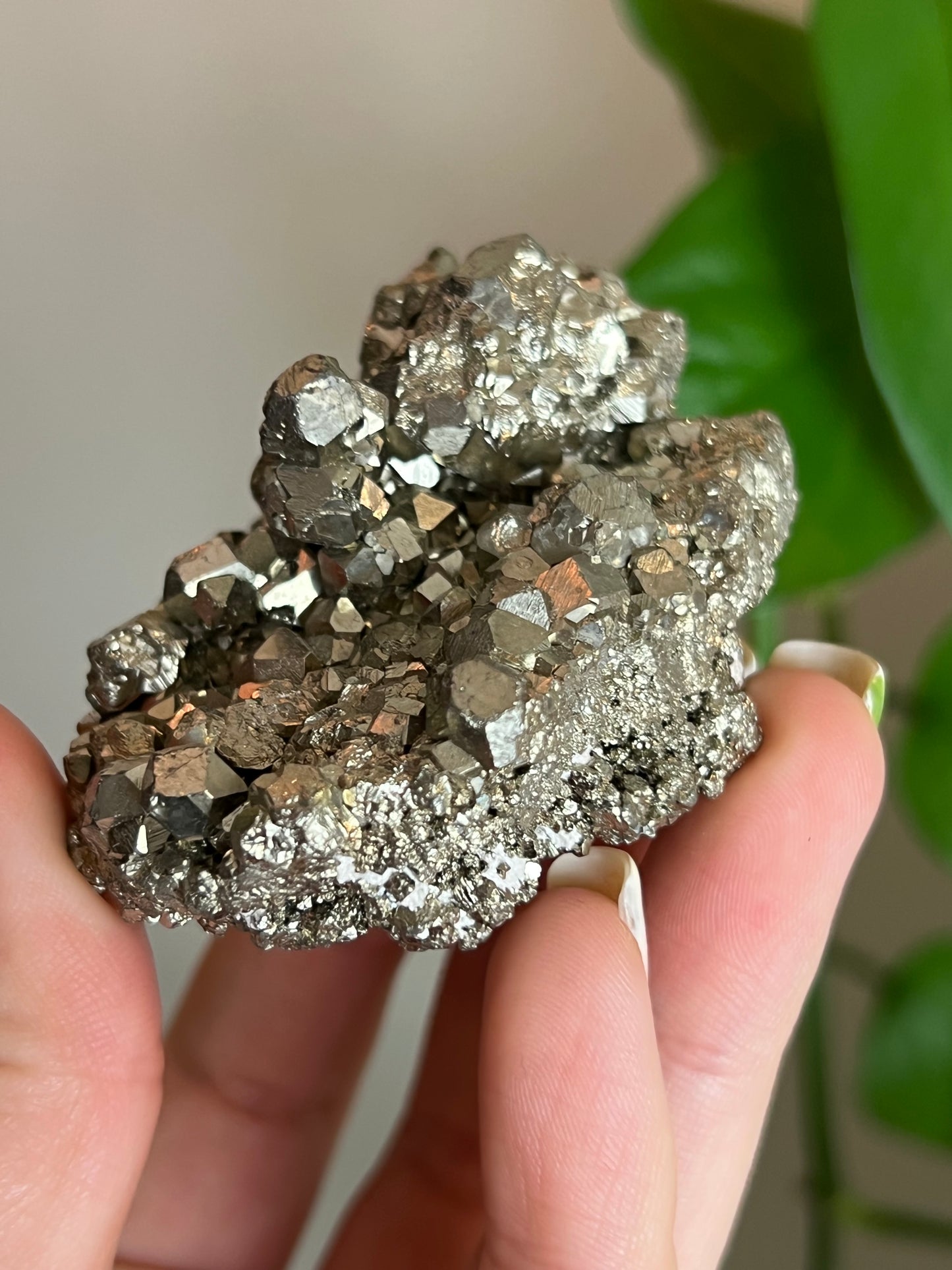 Pyrite Cluster