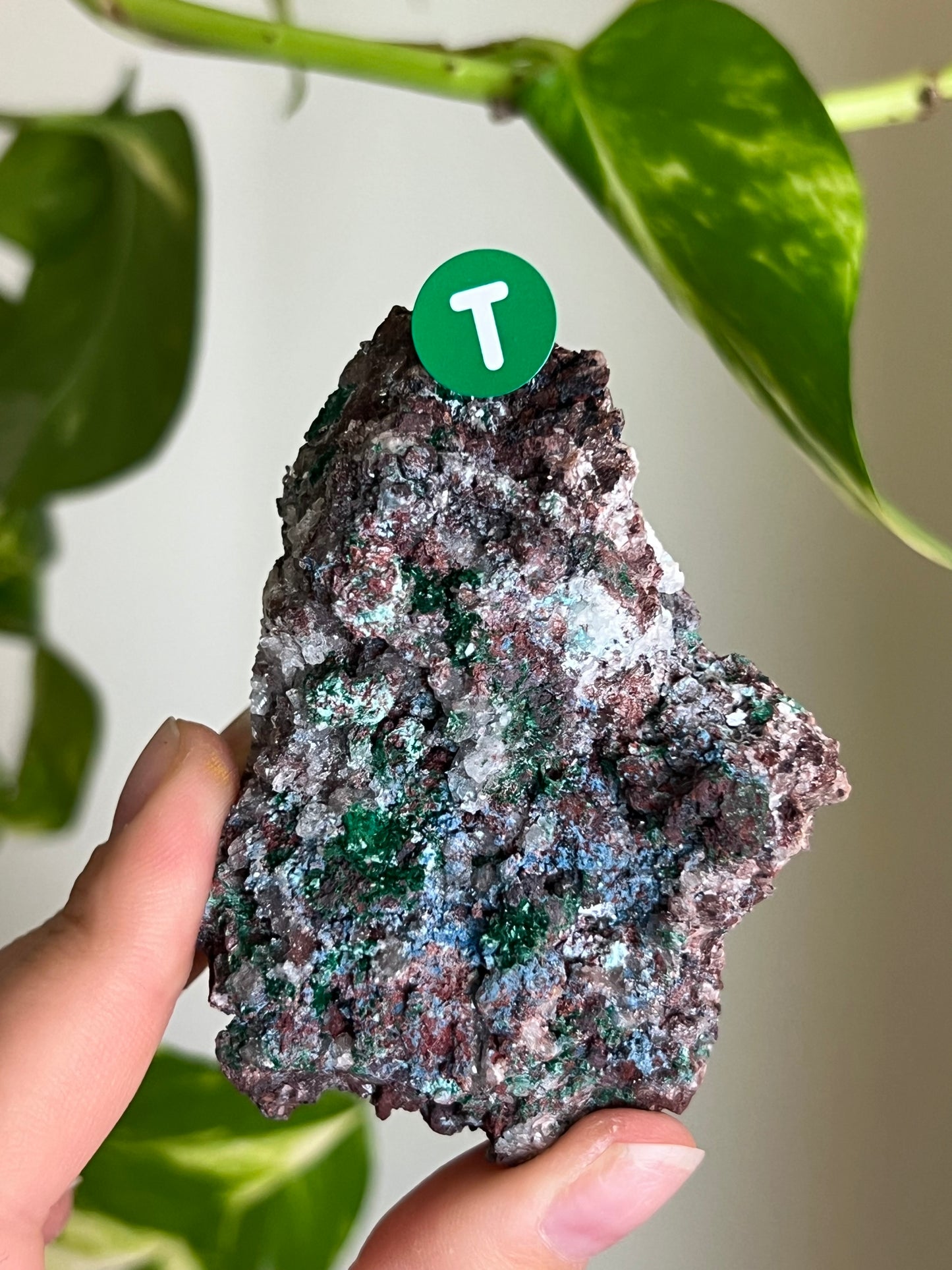 Druzy Malachite with Chrysocolla + Dolomite Sparkly Cluster - T