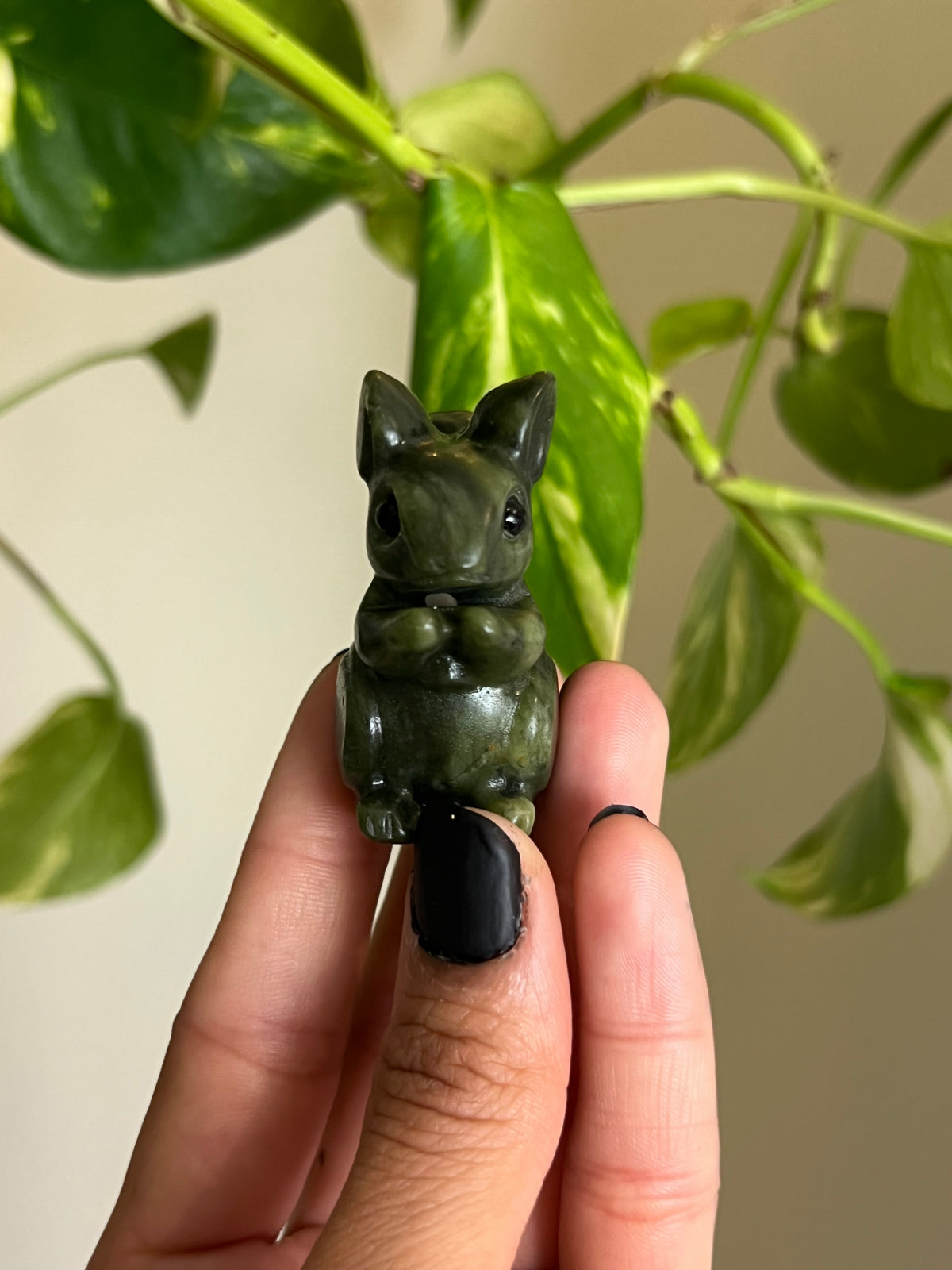 Jade Squirrel - Intuitively Chosen