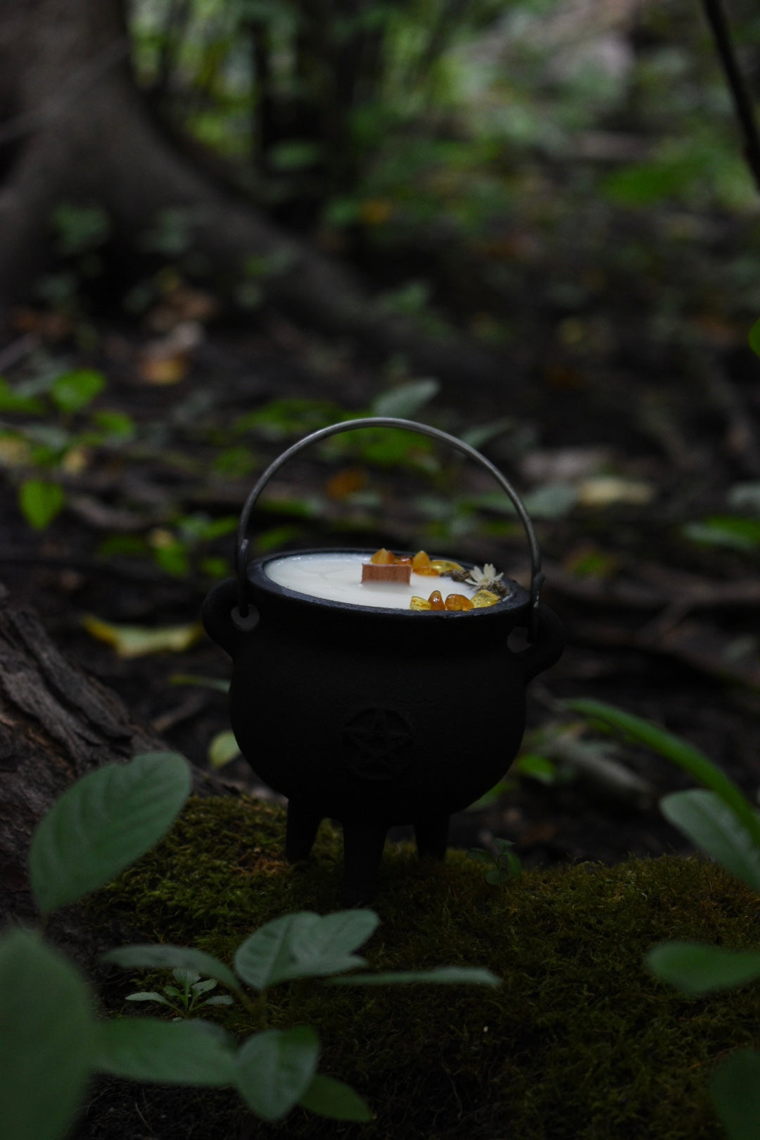 Samhain Spirits Cauldron Candle | Pumpkin + Sandalwood 🎃