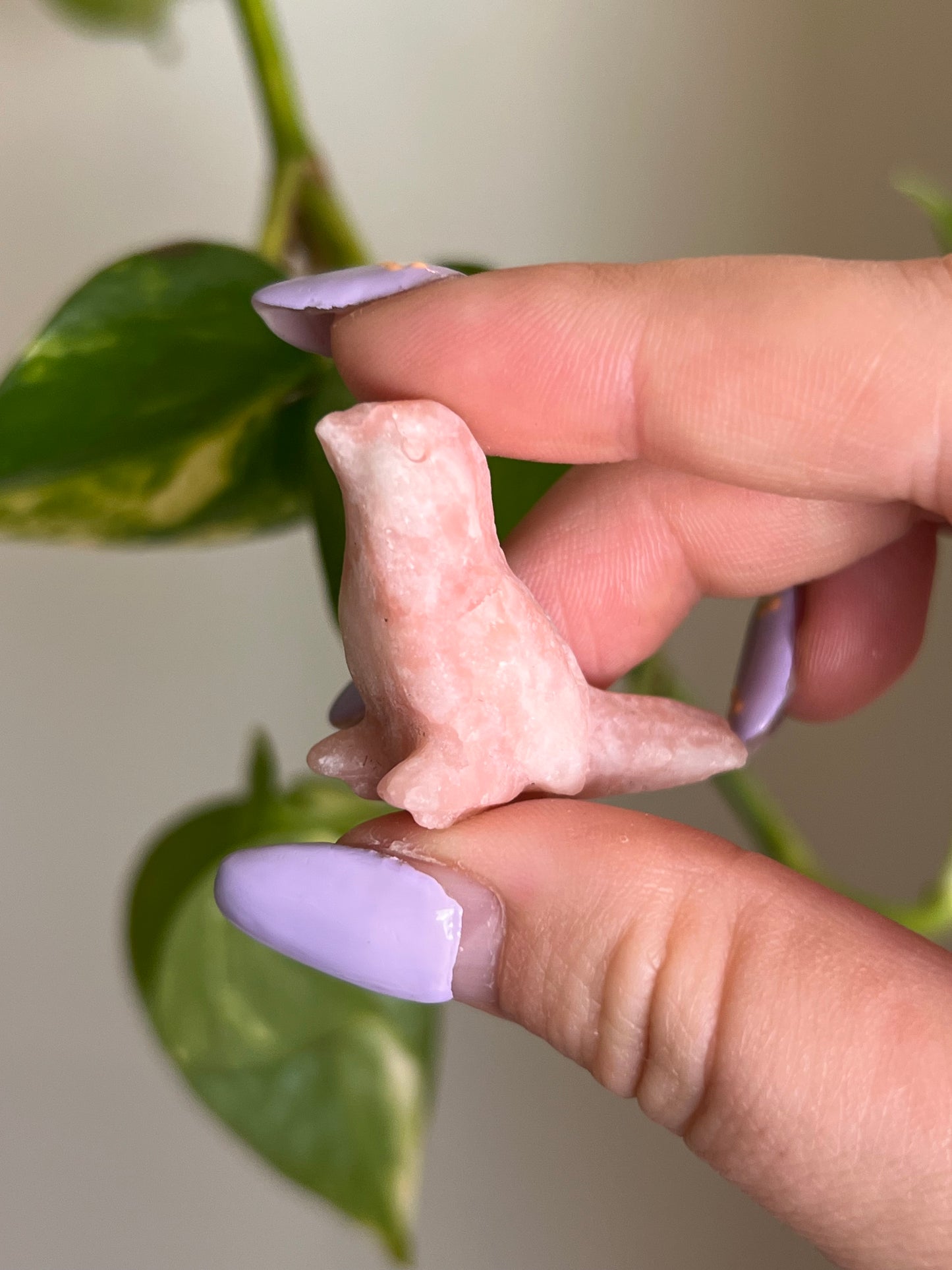 Pink Opal Bird