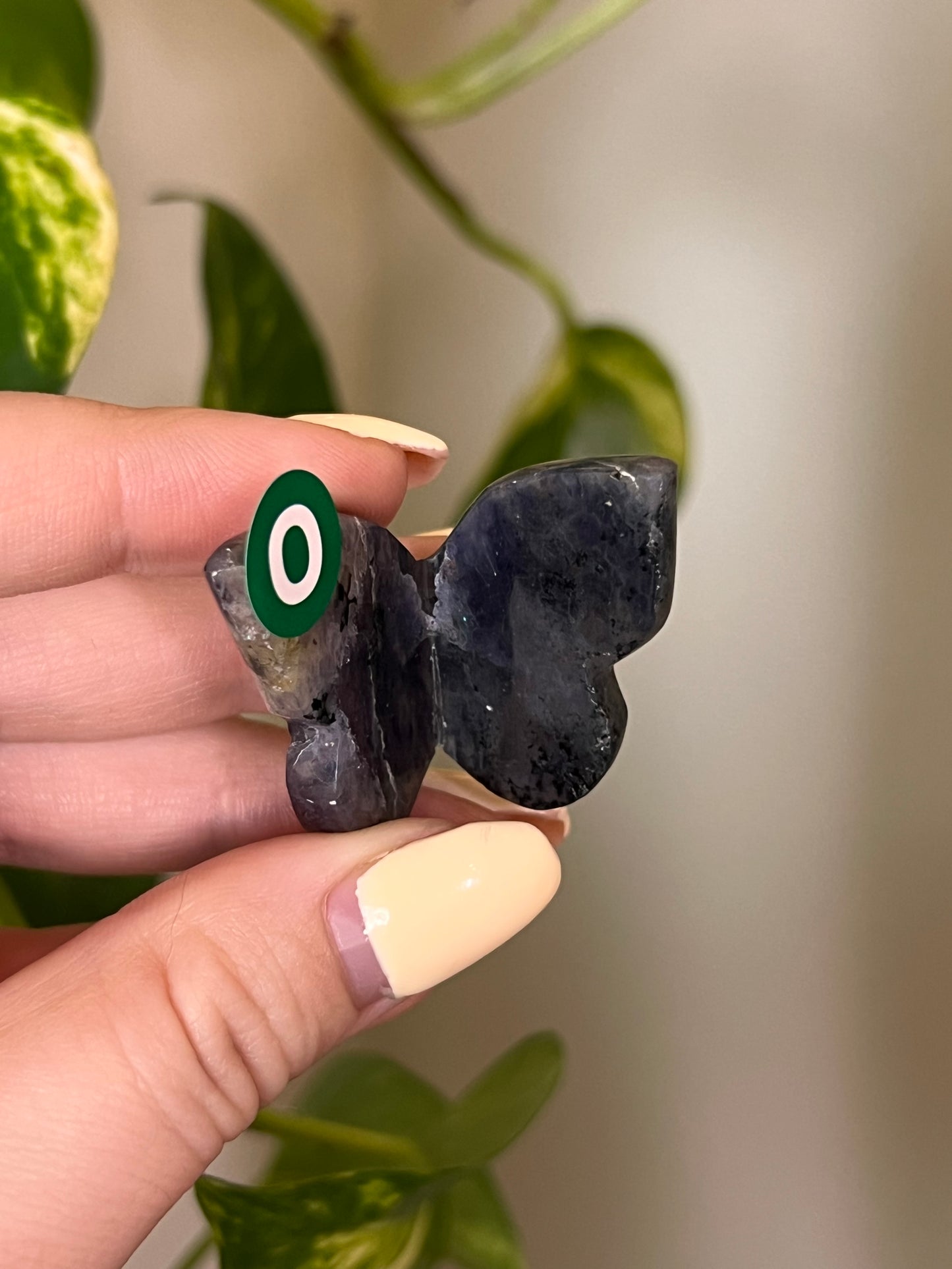 Iolite Small 3D Butterfly - O