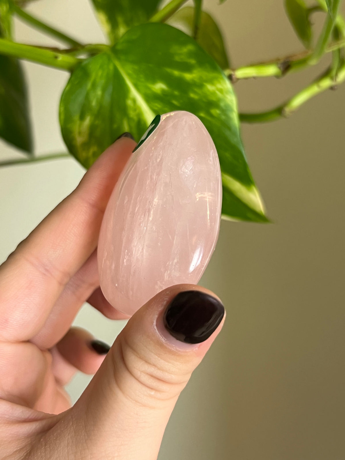 Rose Quartz Palm Stone - ⭐