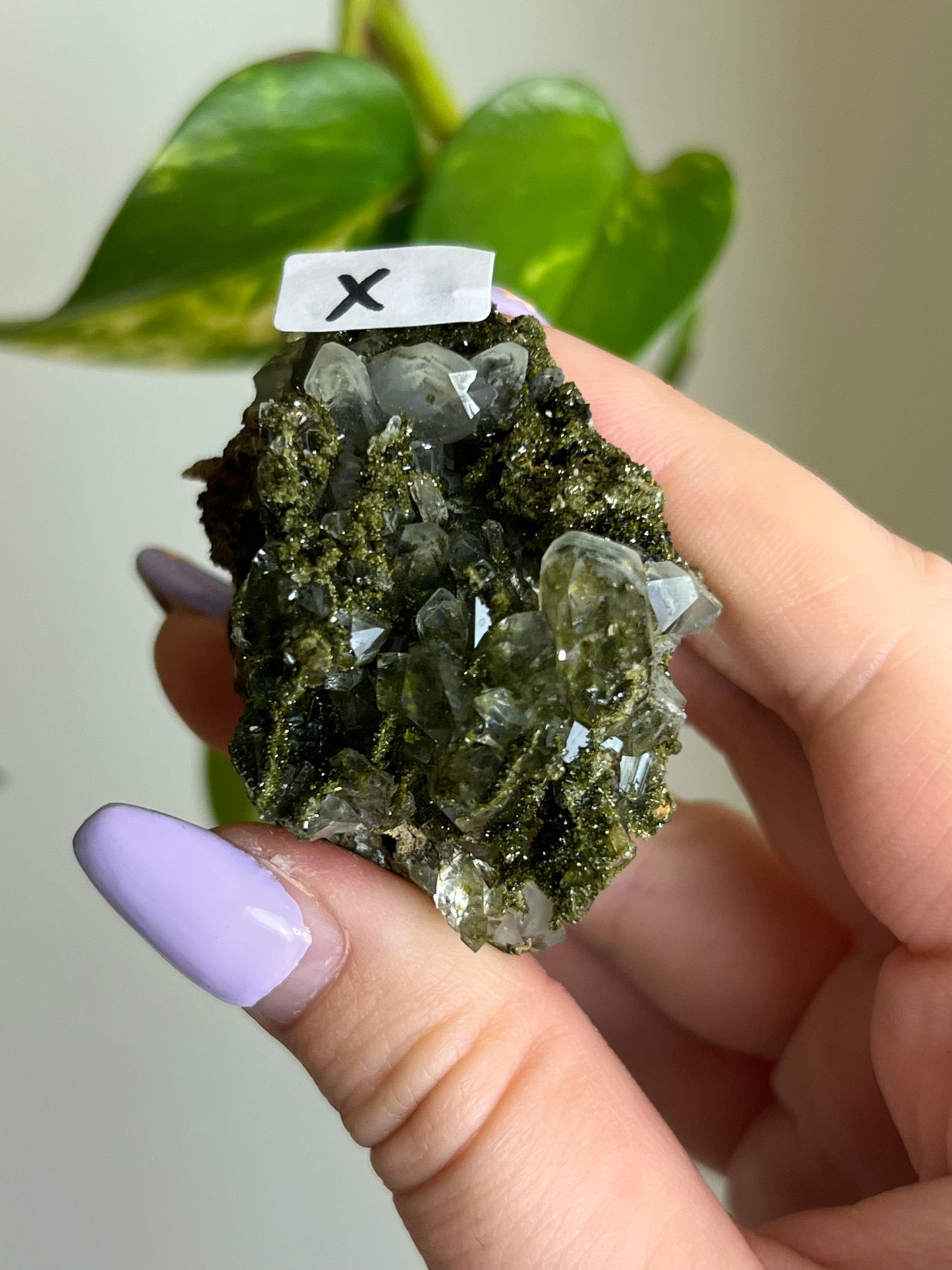 Forest Epidote Quartz Cluster - X