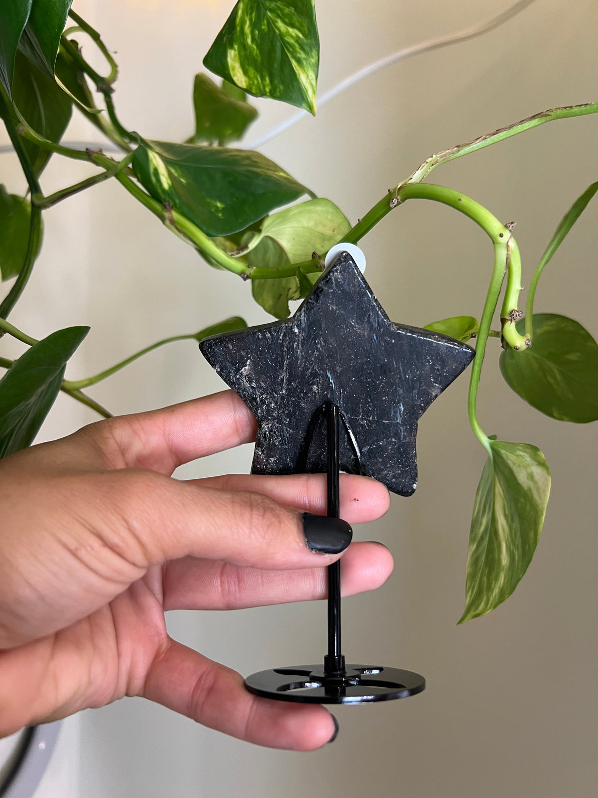 Flashy Astrophyllite Star on Stand - 3