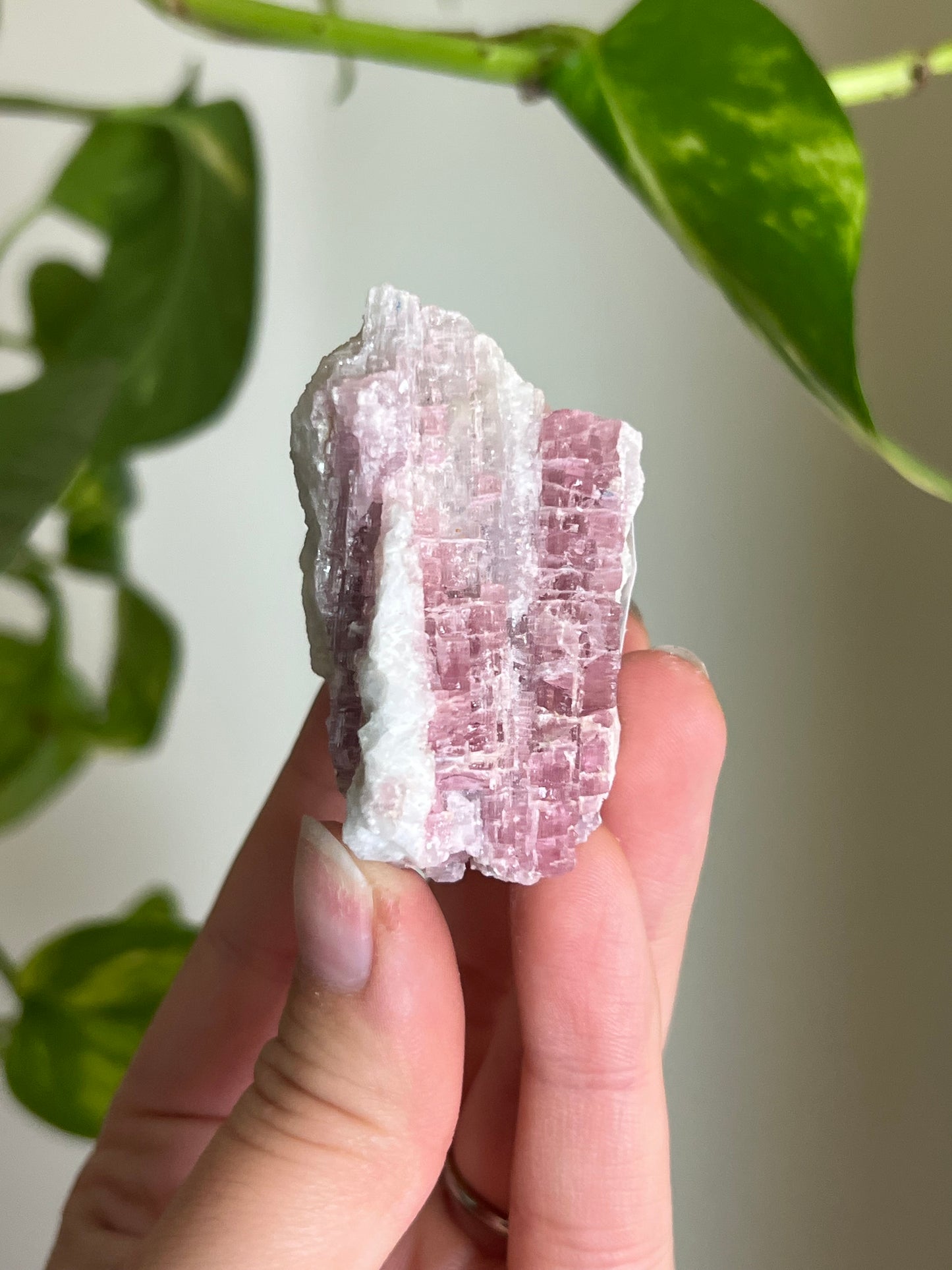 Pink Tourmaline on Matrix