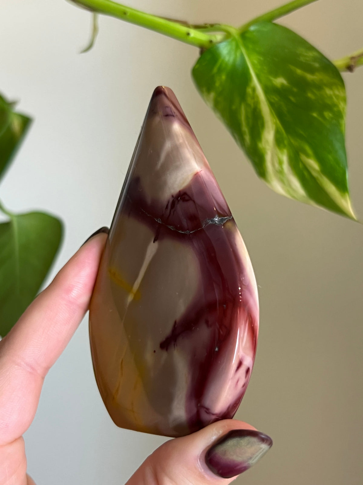 Mookaite Jasper Freeform - X