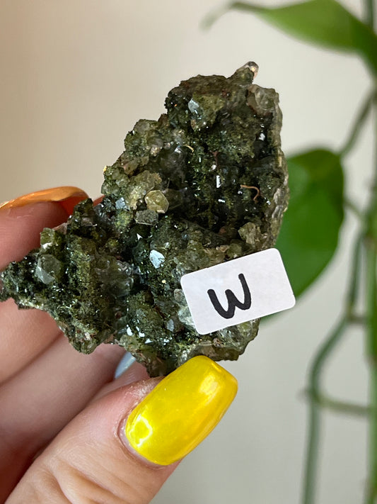 Forest Epidote Quartz Cluster - W