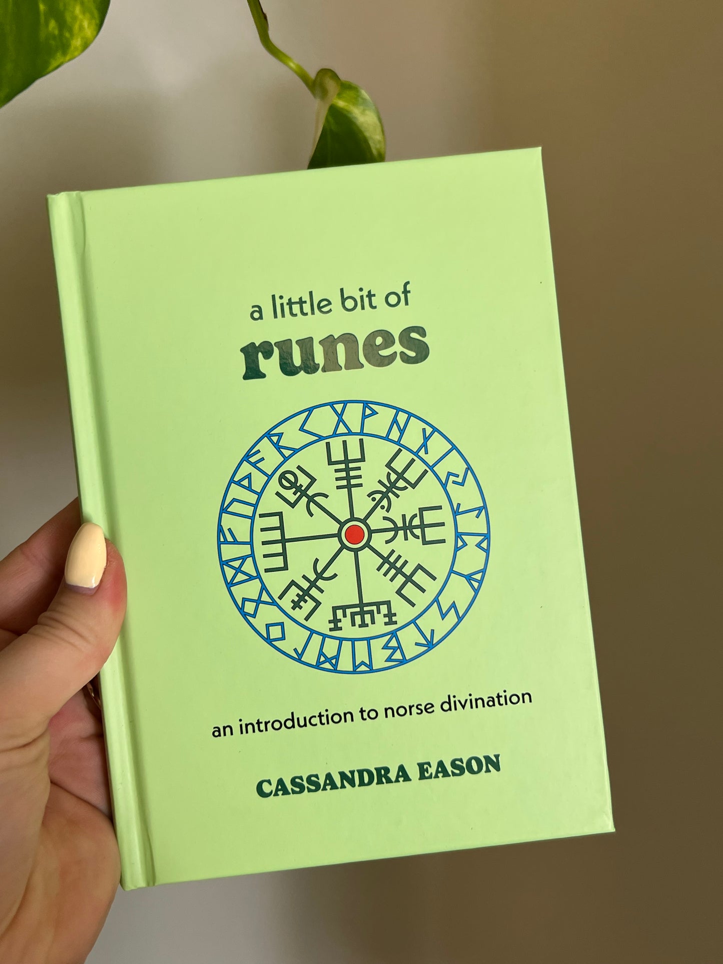 A Little Bit of Runes Book
