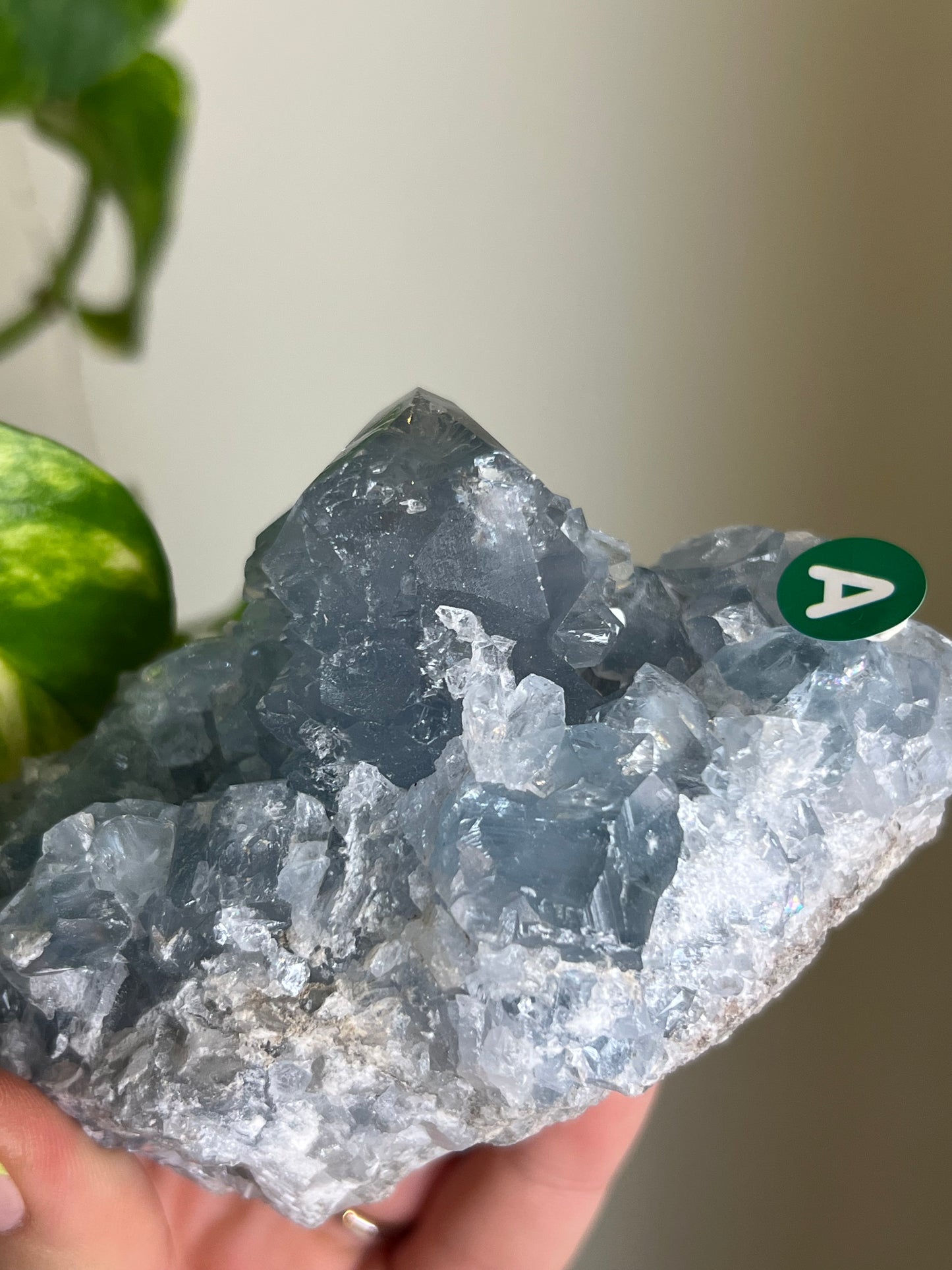 Celestite Cluster - A 🌊