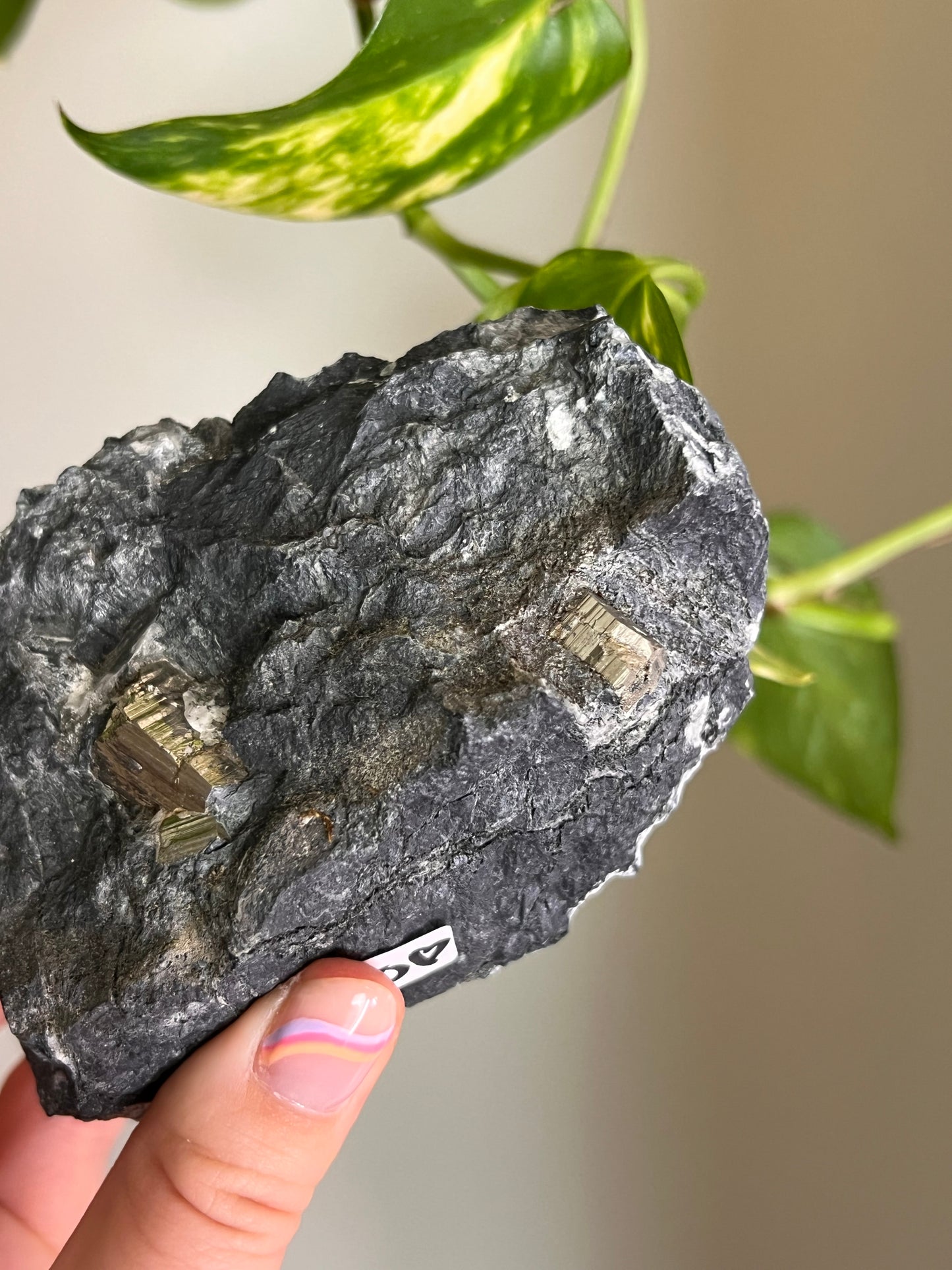 Pyrite on Matrix - Ontario - Large