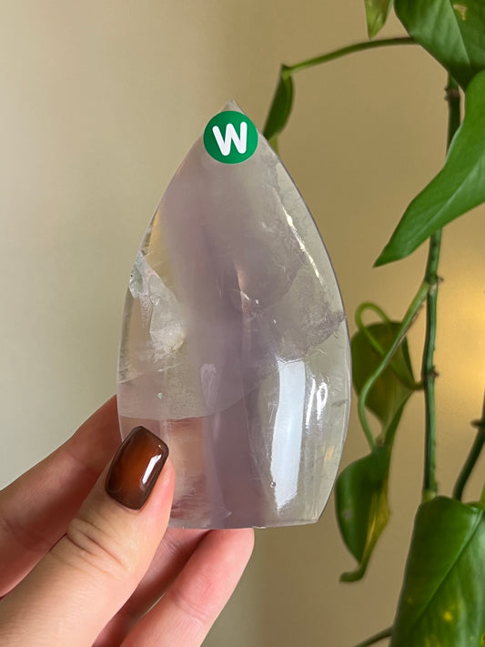 Pastel Fluorite Freeform - W