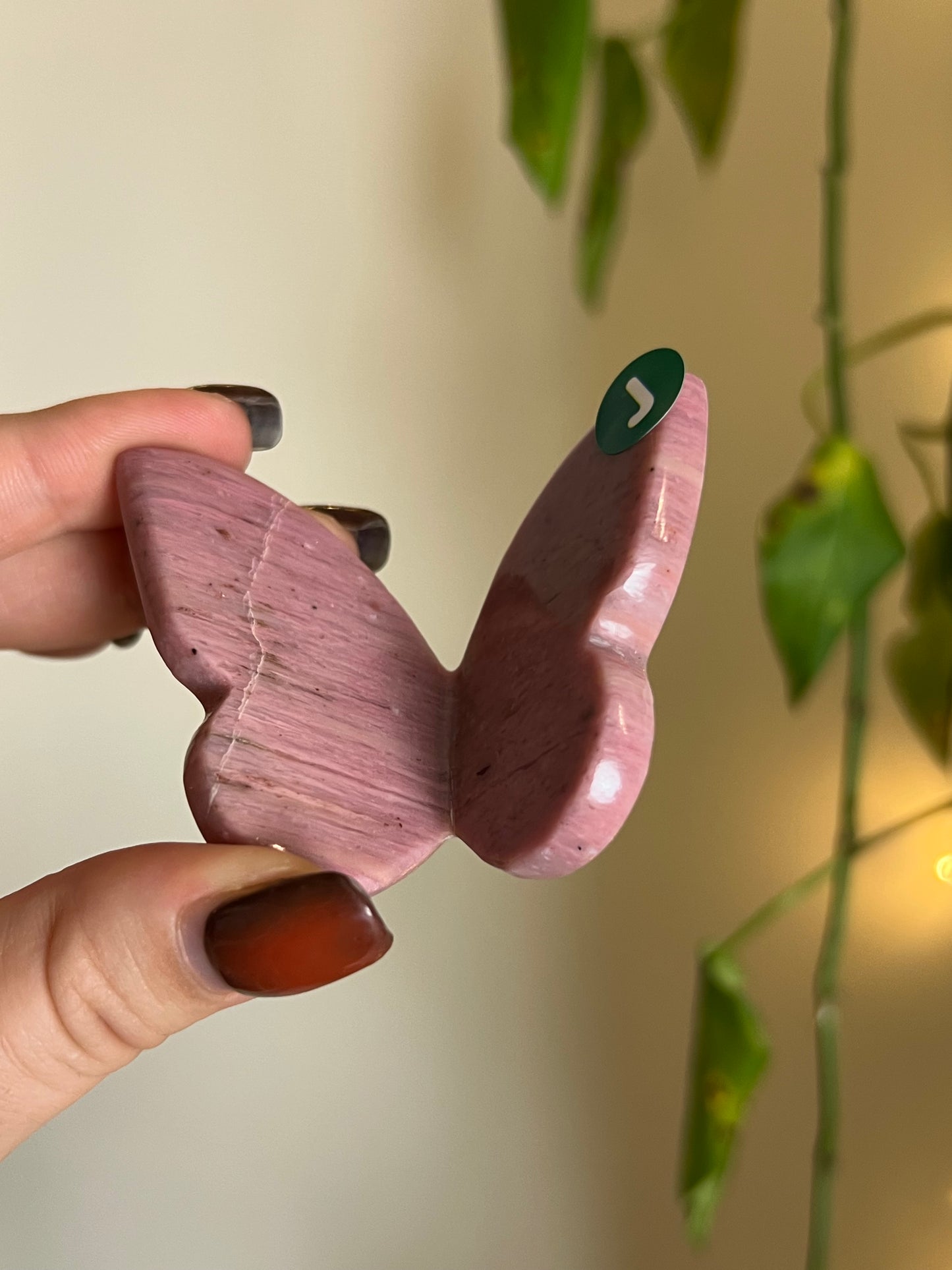 Pink Petrified Wood 3D Butterfly - J