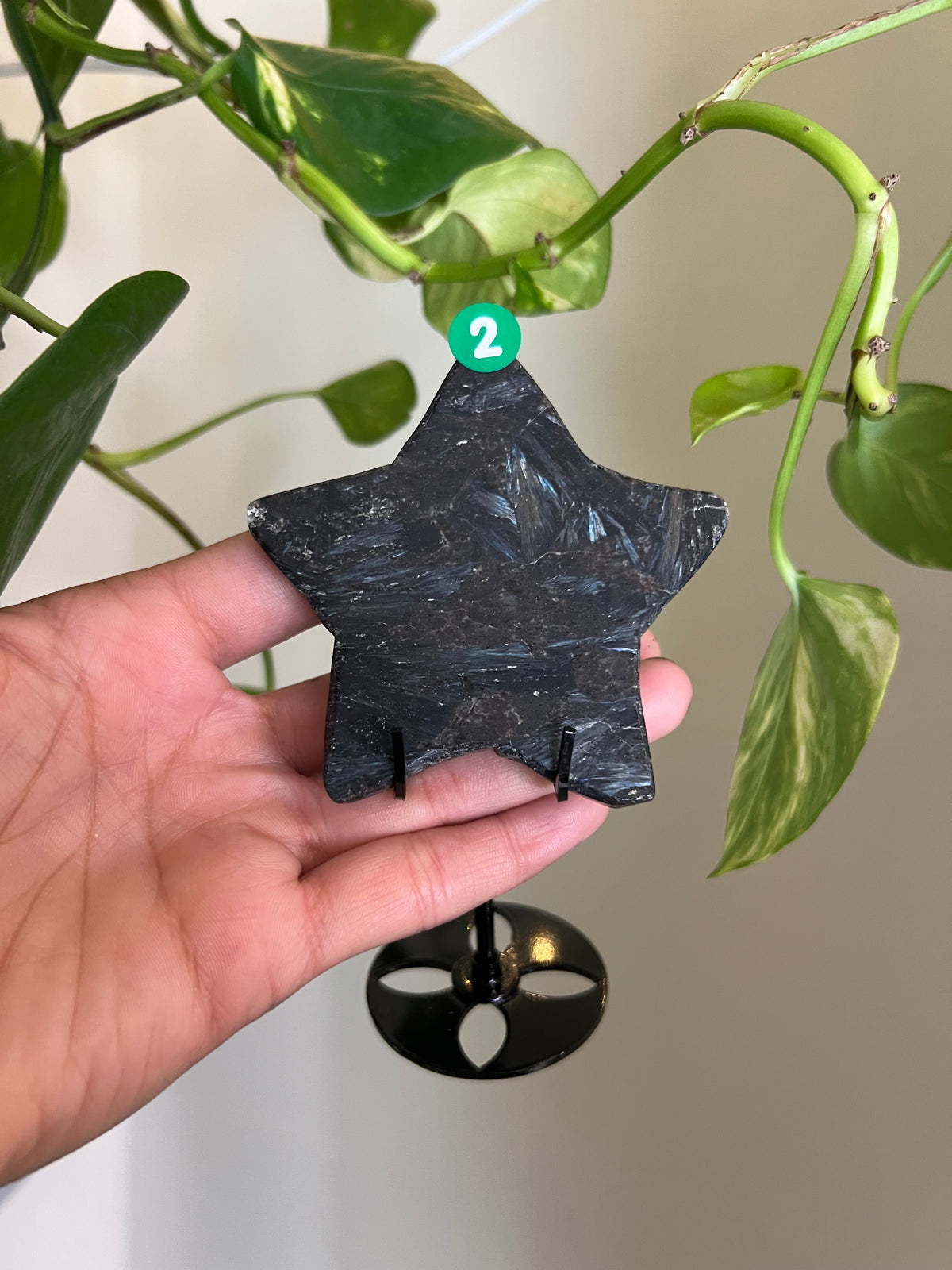 Flashy Astrophyllite Star on Stand - 2