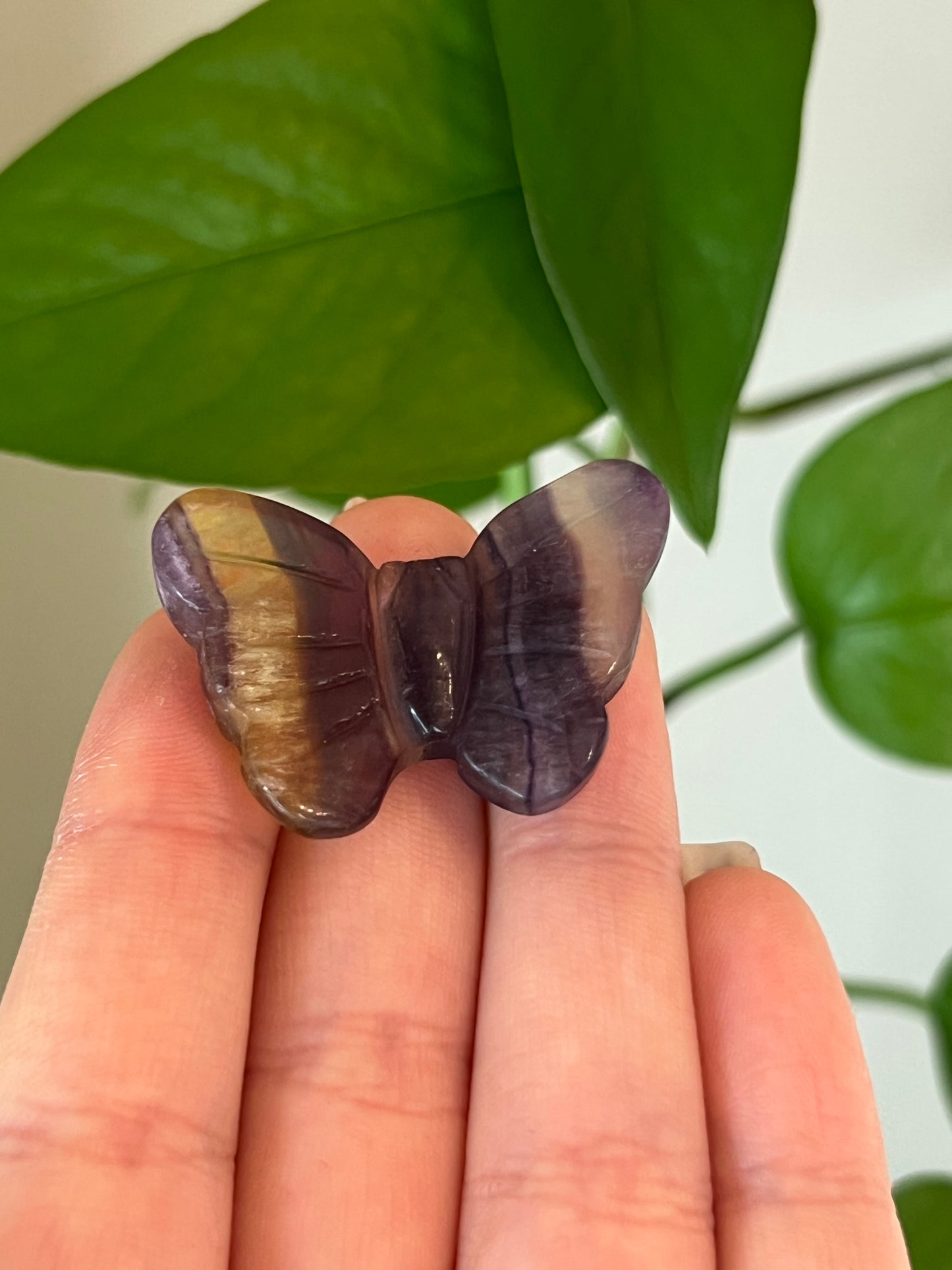 Rainbow Fluorite Butterfly