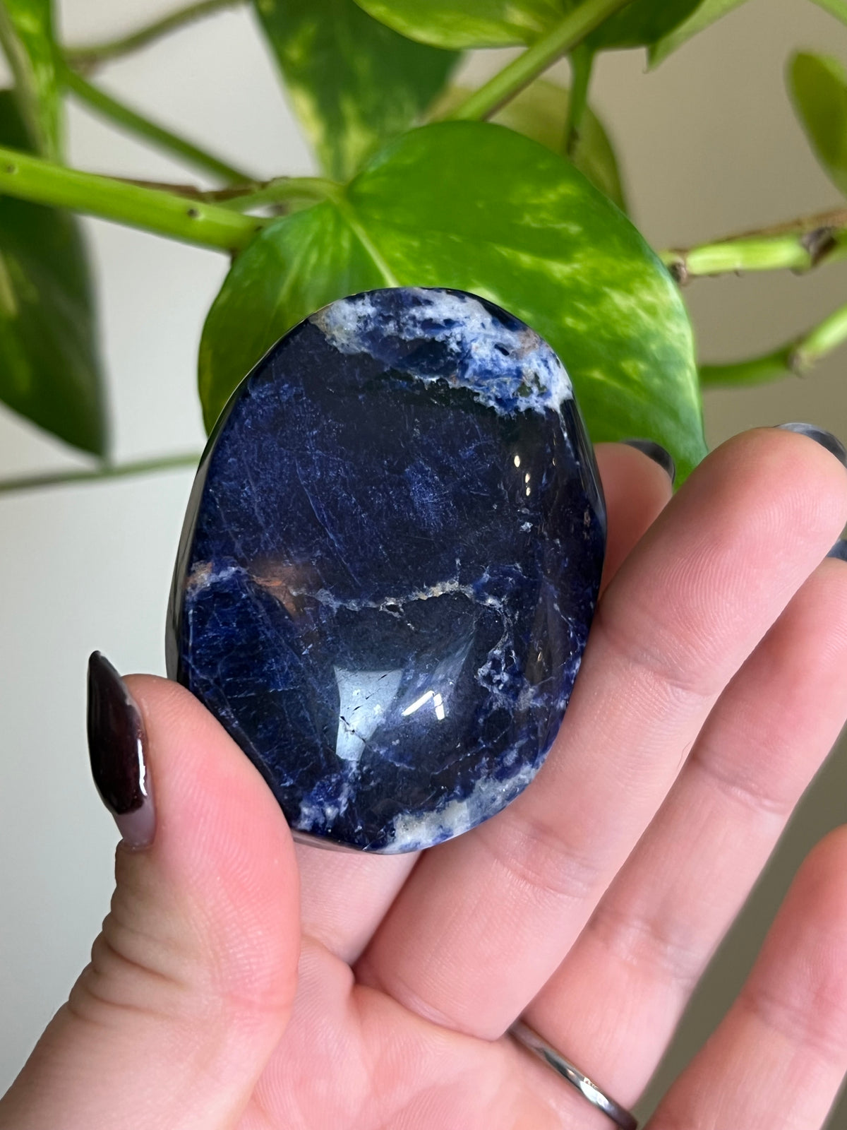 Sodalite Palm Stone - O