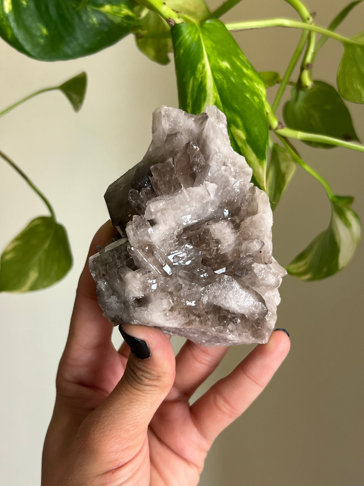 Smoky Quartz Cluster