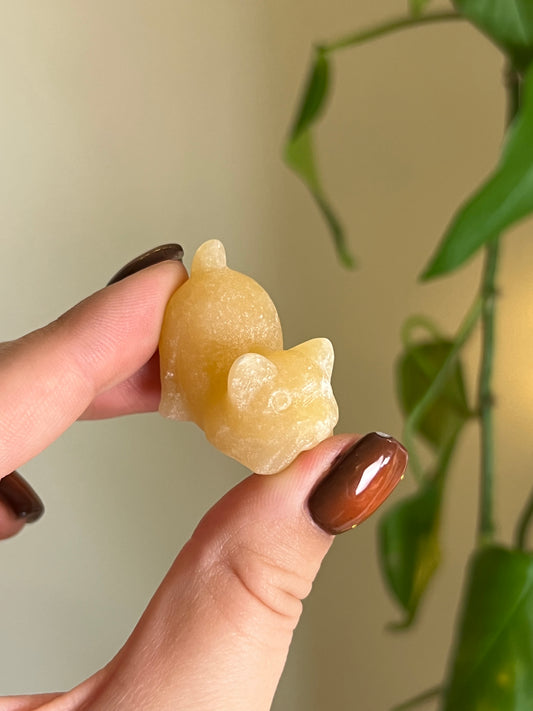 Orange Calcite Playful Cat
