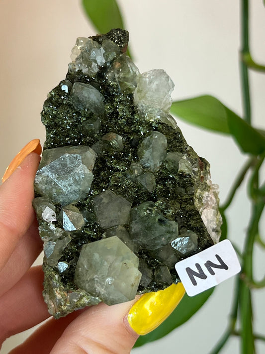 Forest Epidote Quartz Cluster - NN