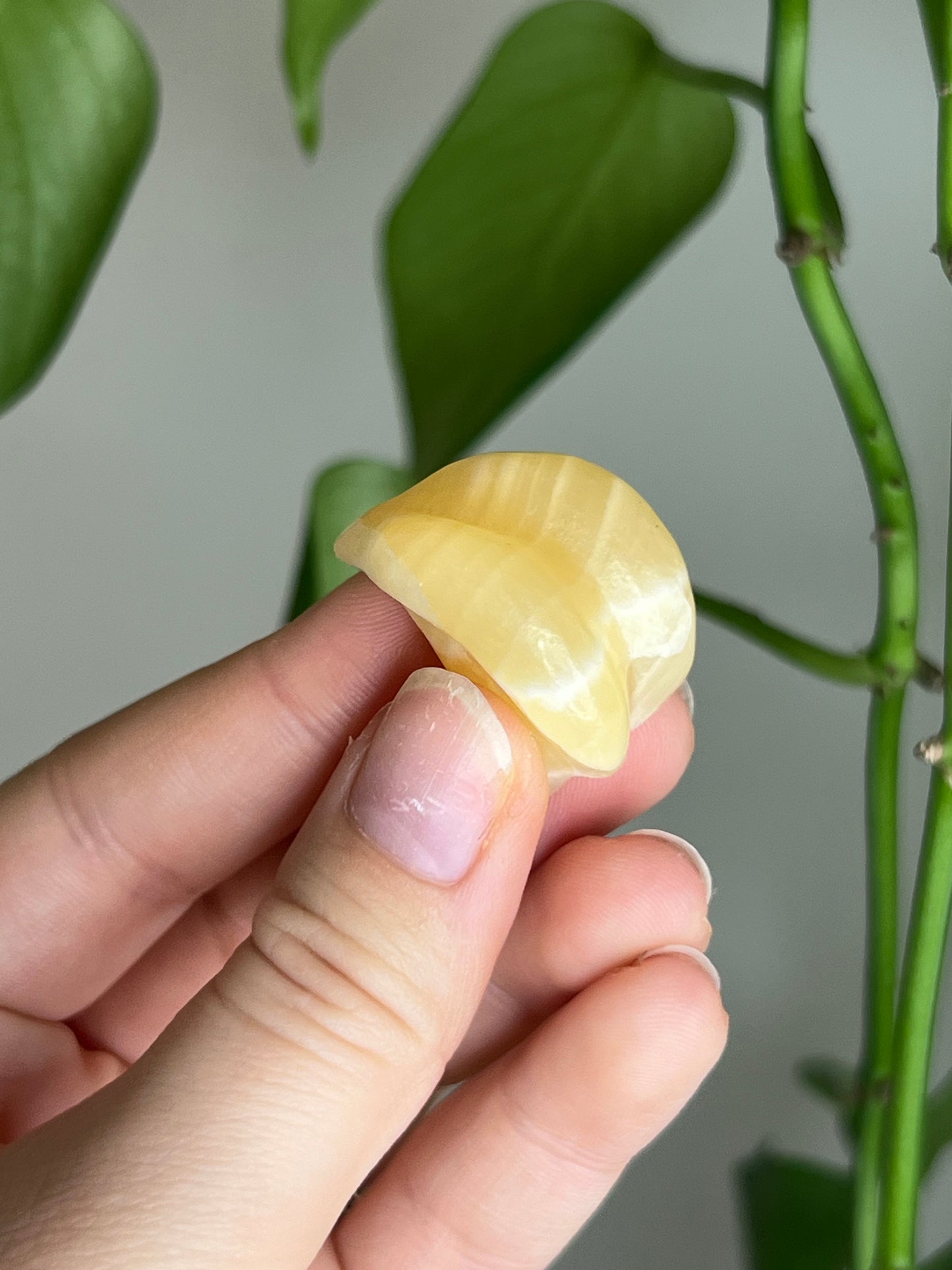 Yellow Calcite Bananas