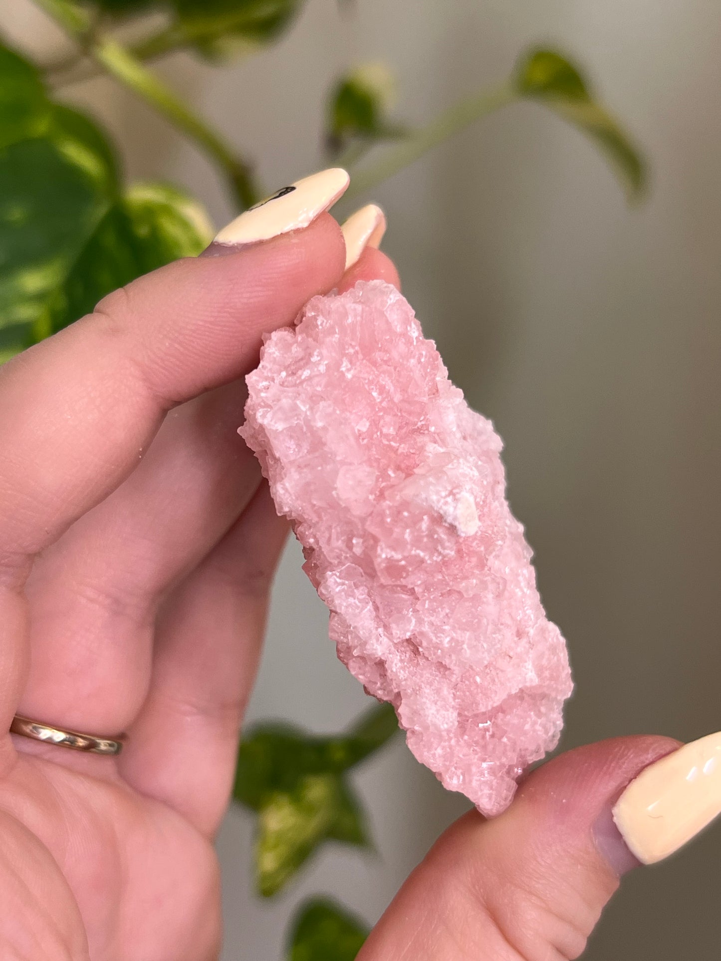 Pastel Pink Halite Specimen - L