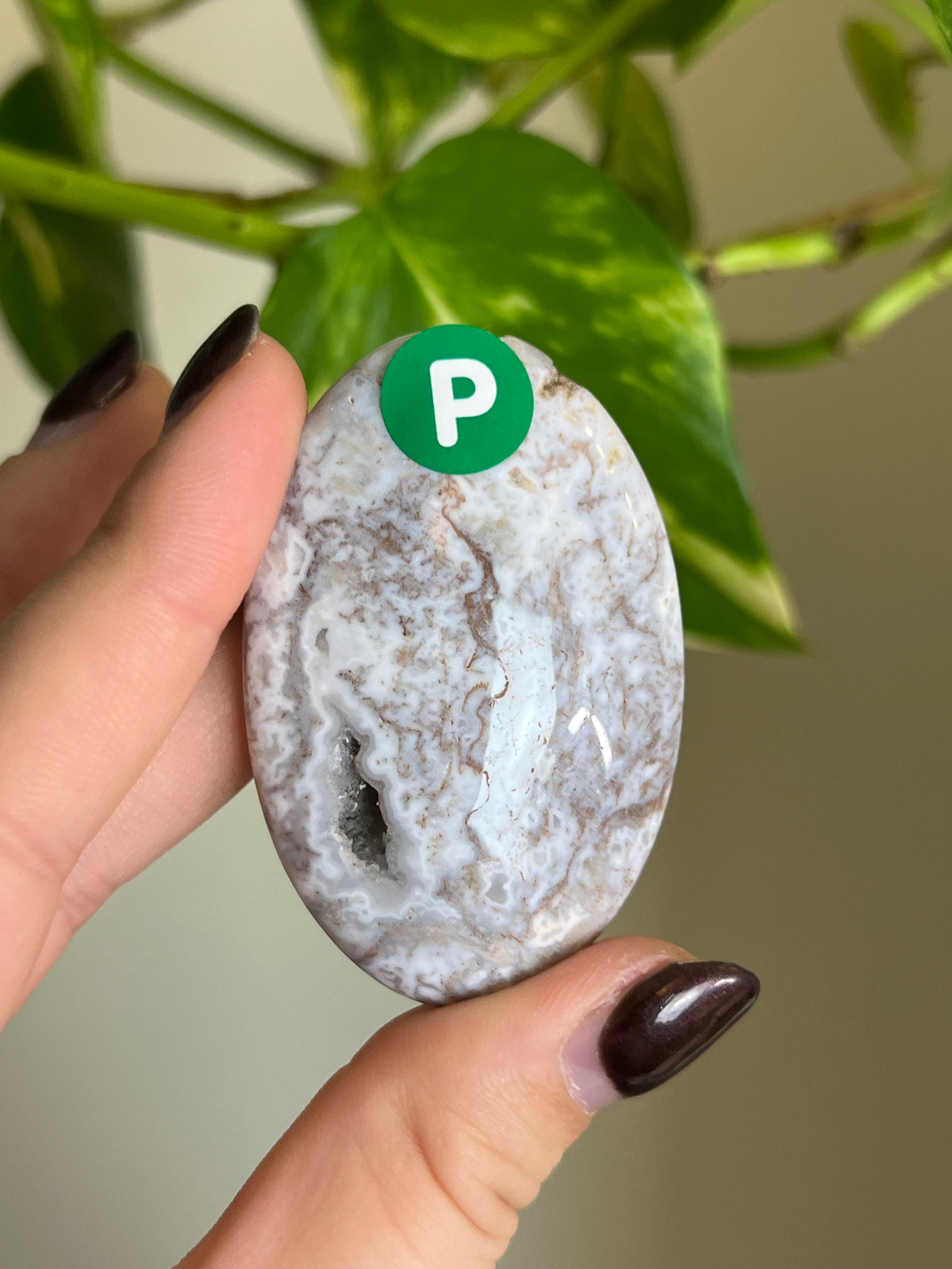 White Moss Agate Small Palm Stone - P