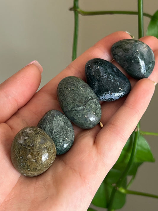 Moss Agate Tumbled