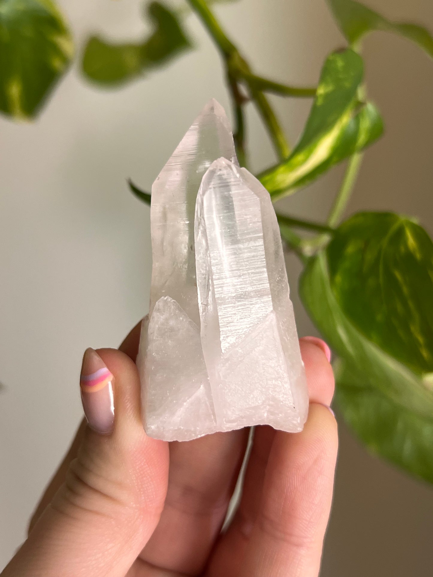 Clear Quartz Cluster - W