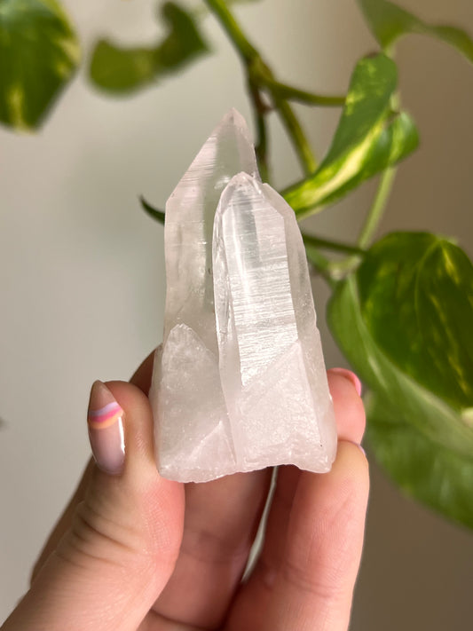 Clear Quartz Cluster - W