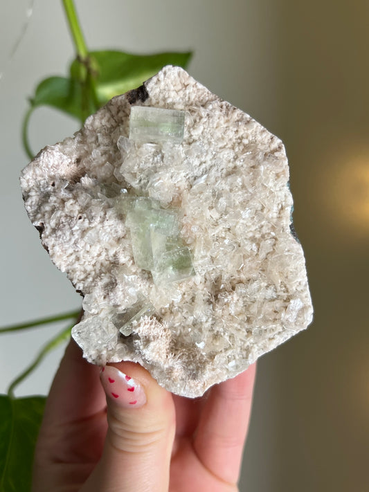 Green Apophyllite Specimen